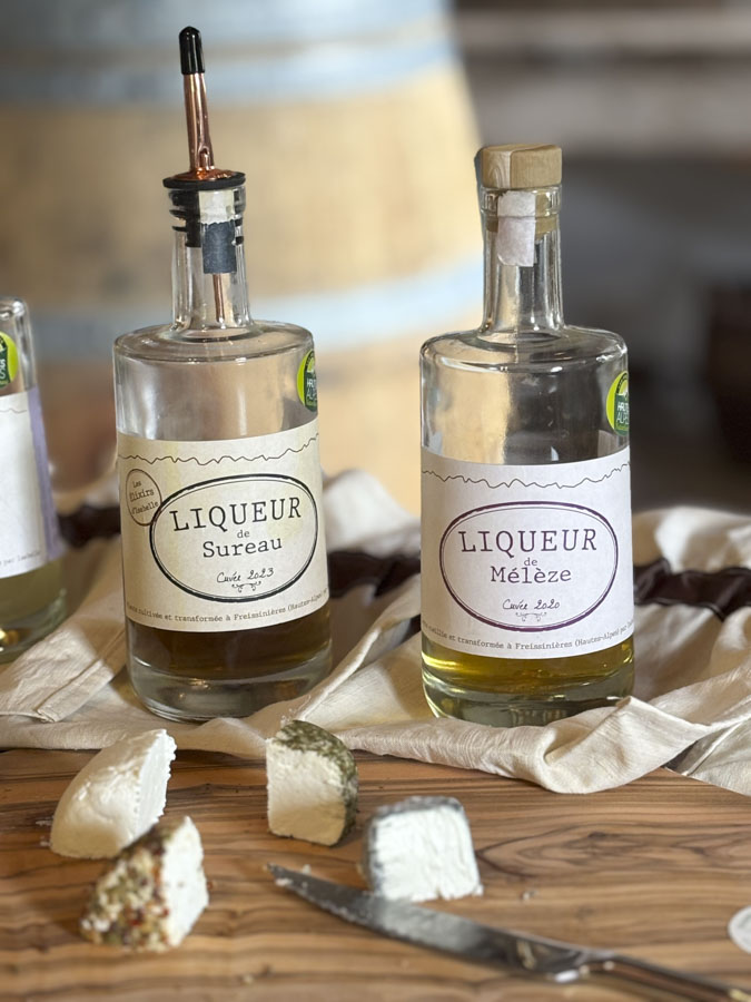 Dégustation fromages et liqueurs