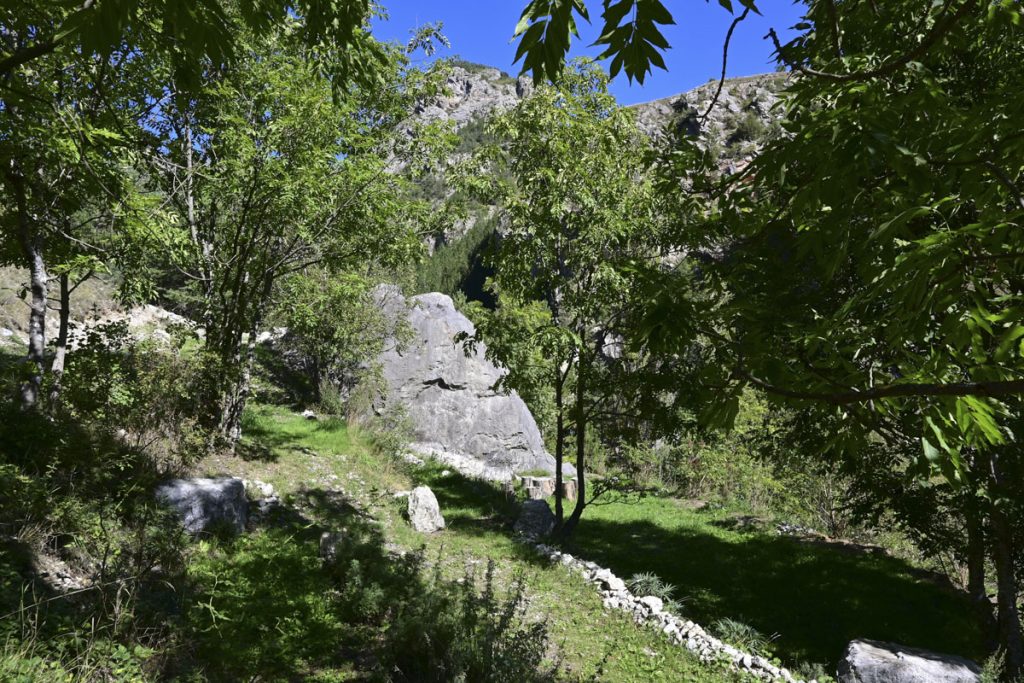 Le jardin sauvage à visiter