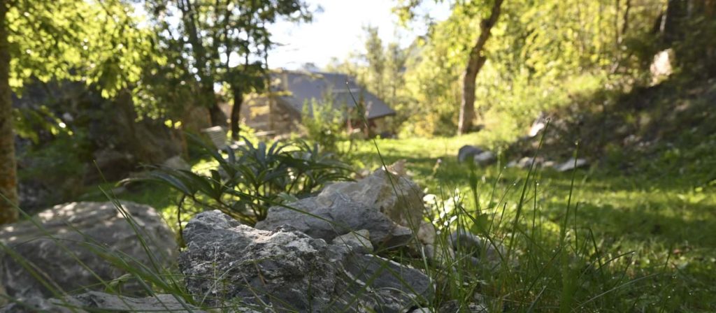 Visite du jardin botanique